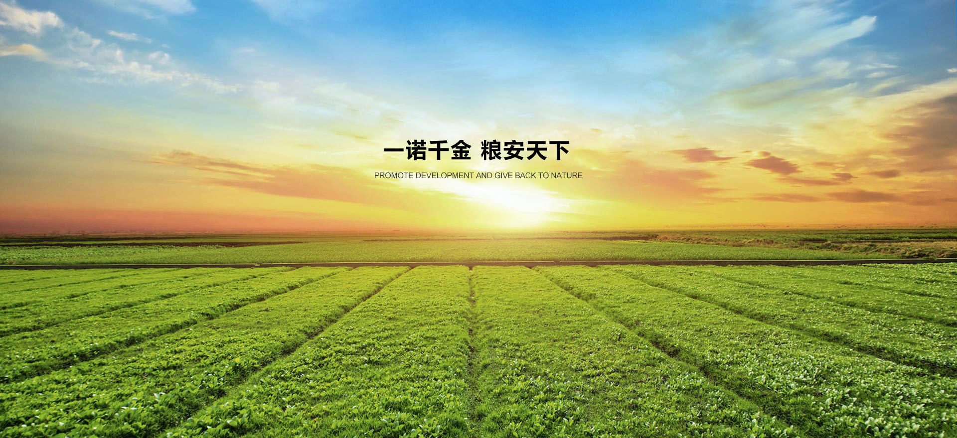 諾安生態肥業 諾安生態肥業